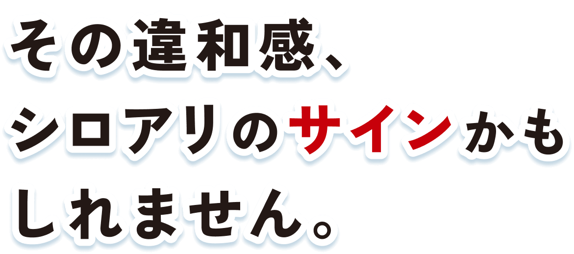 その違和感、シロアリのサインかもしれません。