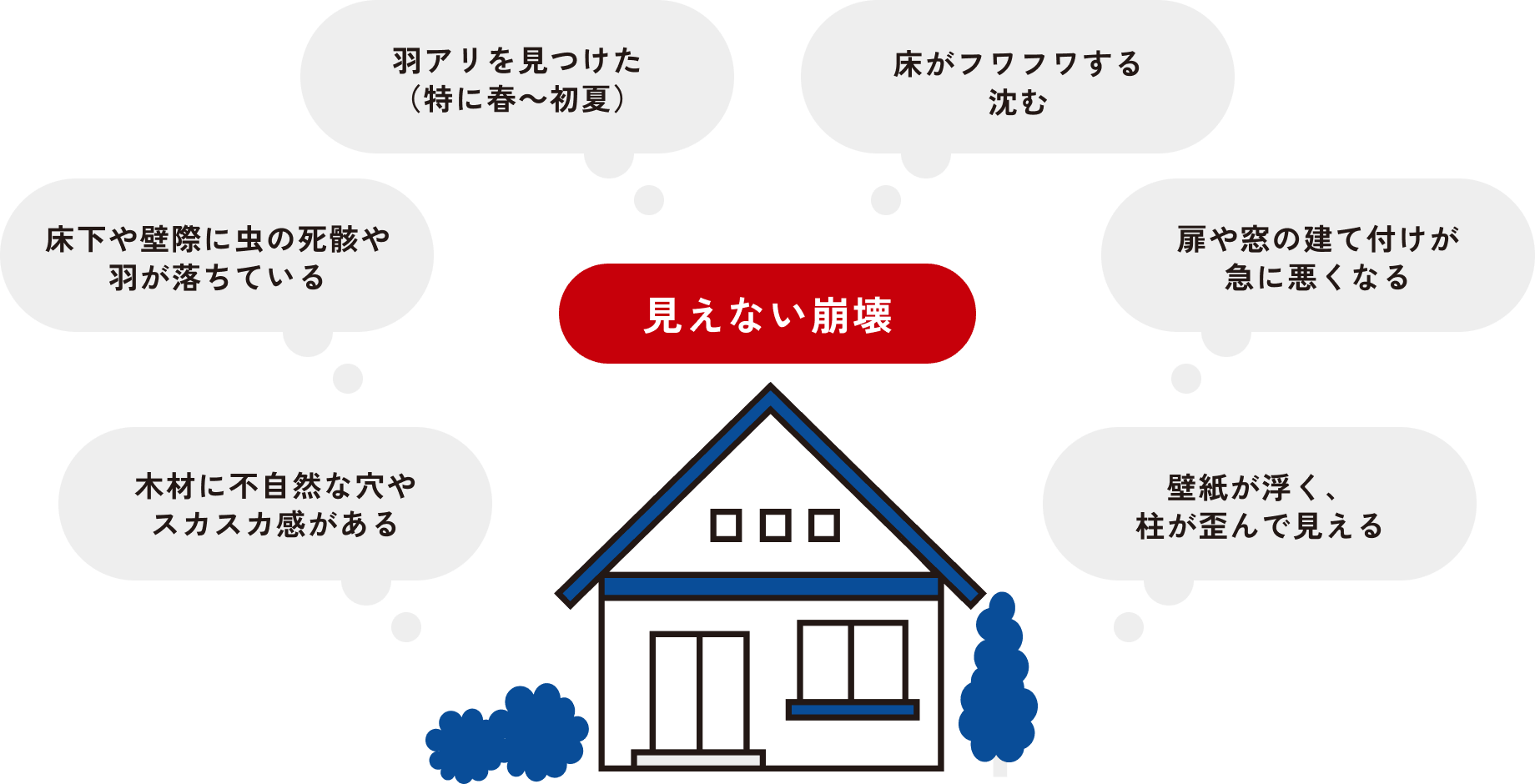 見えない崩壊「羽アリを見つけた（特に春～初夏）」「床がフワフワする沈む」「床下や壁際に虫の死骸や羽が落ちている」「扉や窓の建て付けが急に悪くなる」「木材に不自然な穴やスカスカ感がある」「壁紙が浮く、柱が歪んで見える」
