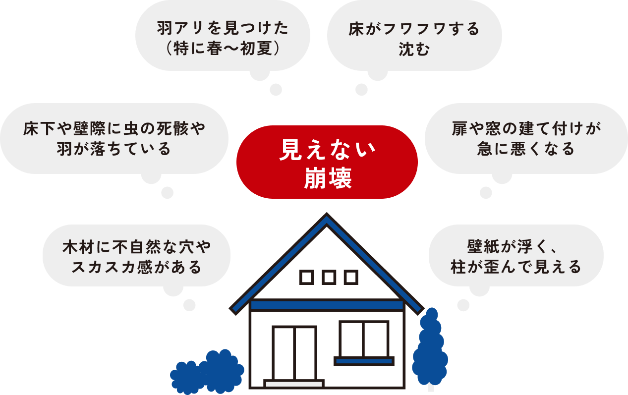 見えない崩壊「羽アリを見つけた（特に春～初夏）」「床がフワフワする沈む」「床下や壁際に虫の死骸や羽が落ちている」「扉や窓の建て付けが急に悪くなる」「木材に不自然な穴やスカスカ感がある」「壁紙が浮く、柱が歪んで見える」